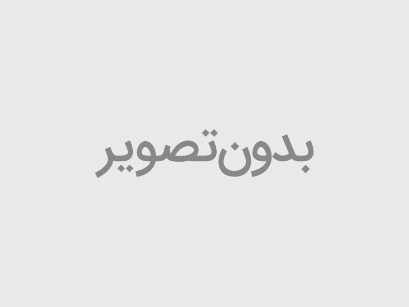دسته راهنما پاترول